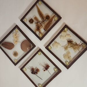 Vintage Coasters Glass Frames Pressed Dried Flowers 4 Pieces 4 1/2 by 4 1/2 in